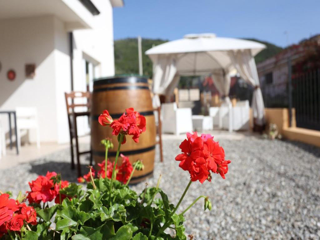 Home residenza atena overview day 8